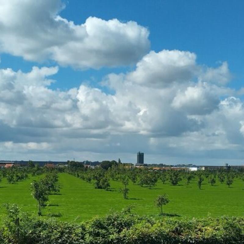 Groen Links Ridderkerk Boomgaard Rijsoord