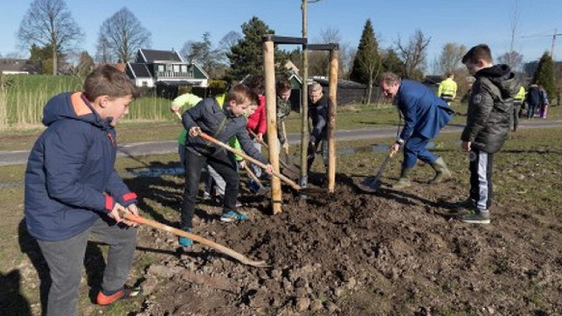 boomfeestdag1.jpg